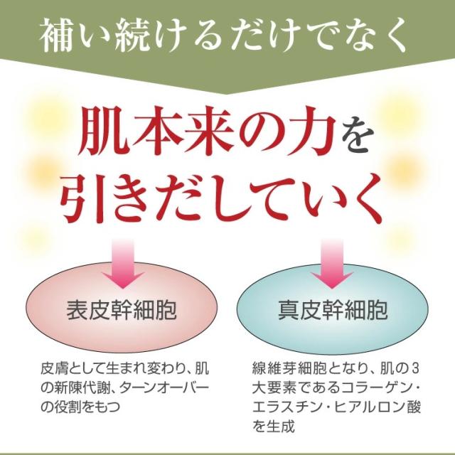 LAWHI ラウイ SC ミルク (78ml) エンチーム ヒト脂肪間質細胞順化培養