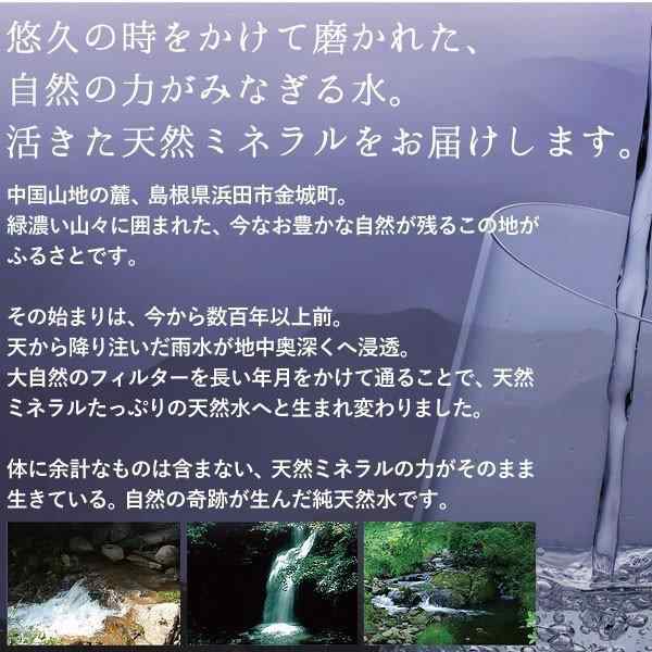 リセットタイム ResetTime 2L×36本 (6箱）7年 保存 硝酸態窒素ゼロ アルカリ 生天然水 ミネラルウォーター 長期 メーカー直送 正規品お