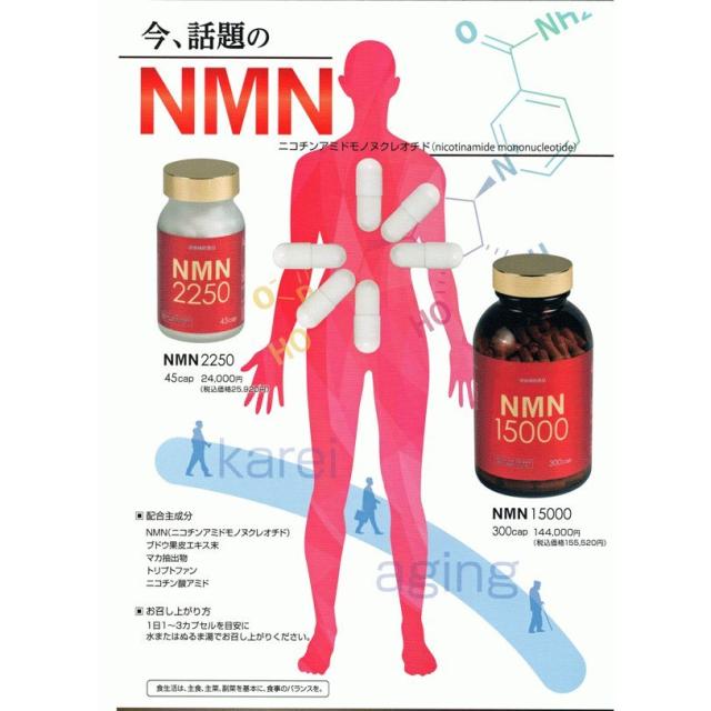NMN 15000 (300カプセル) サプリメント ニコチンアミドモノヌクレオチド エンチーム【正規代理店】_3