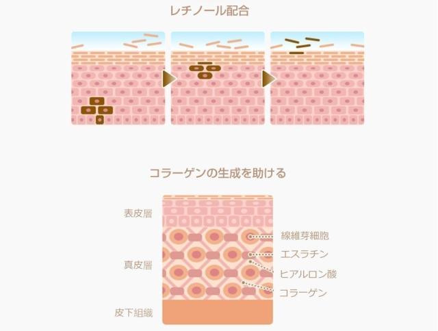 白夢堂 ゴールドクリーム 30ml 幹細胞培養液 乾燥 保湿 クリーム SHIRAYUMEDO ETERNAL BEAUTY 正規代理店 白夢堂 ゴールドクリーム 30ml 幹細胞培養液 乾燥 保湿 クリーム