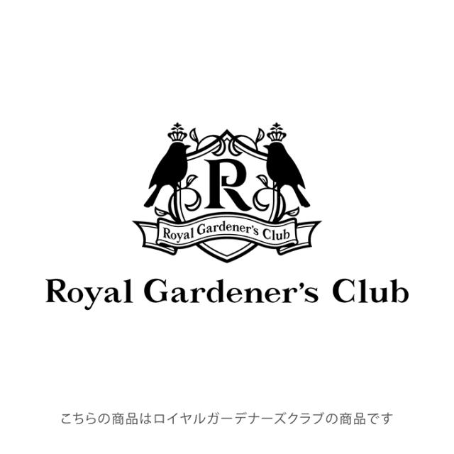 ロイヤルガーデナーズクラブコンパクトガーデンリール?U 10m グリーン×ゴールド おしゃれ VCBNG029 安心の2年間保証_1