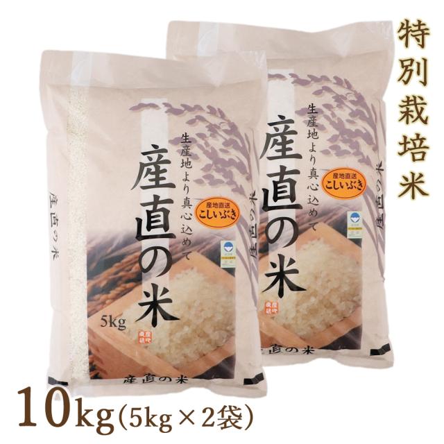 令和7年 新潟県産 こしいぶき 10kg(5kg×2袋) お米 白米 特別栽培米 10キロ 2025年度産 お取り寄せ ギフト 贈り物 精米