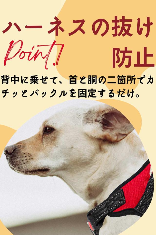 犬 ハーネス 小 中 大型犬用サイズ オシャレ カラー 超小型犬 胴輪 シンプル かわいい おしゃれ かっこいい 軽い 洗える ブランド 愛の通販はau Pay マーケット Authentic One