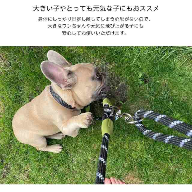 犬 ハンズフリー リード 肩掛け 斜め掛け ななめ掛け ショルダー ドッグ ランニング マラソン ハイキング フリーハンド 中型犬 大型犬  肩かけリード ペット｜au PAY マーケット