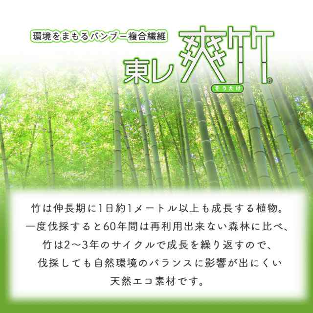 1枚までメール便発送OK】東レ 爽竹 きものスリップ 夏用 和装スリップ