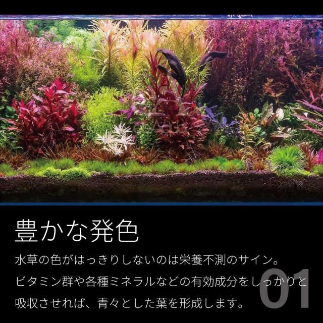 ours 深水光太 着用 HOPE バラクラバ Acne Studios Scarf Methode | TikTok