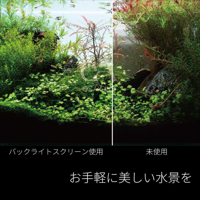 esAqua 水槽 バック スクリーン (450×300) LEDライト PSE認証 メーカー