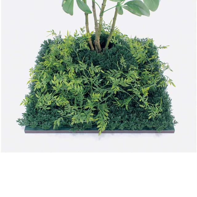 連接樹木 フロアグリーン フェイクグリーン パーテーション 人工観葉植物 500×1000×500 【正規代理店】 ベルク シェフレラ 土植型 単品 連接 間仕切り 人工樹木 造花 空間演出 オフィス クリニック エントランス ロビ 店舗 受付 インテリア 国産 BELK GreenMode GR5062_1
