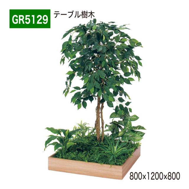○光の楽園 (501K640-34) シュロチク 1.8 送料無料 92398 【公式通販】