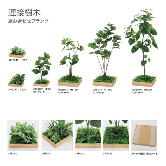 連接樹木 374×300×374 組み合わせプランター 薄型 木目 トレイ型プランター 単品 組み合わせ 使いやすい 【正規代理店】 ベルク おしゃれ 癒し フェイクグリーン 人工観葉植物 造花 装飾 インテリア BELK GreenMode グリーンモード 屋内用 国産 GR5041_1