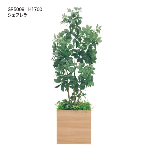 BELK GreenMode ベルク グリーンモード 2set BELK GreenMode ベルク グリーンモード 2set 【公式通販】