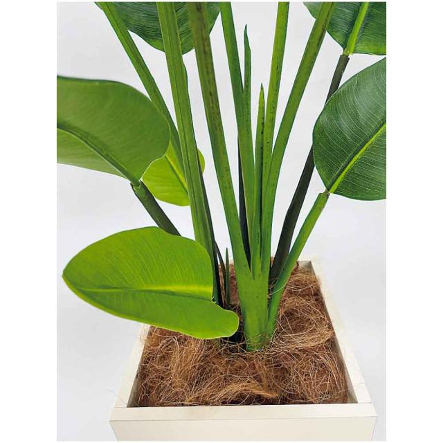 樹木プランター パーテーション フェイクグリーン 人工観葉植物 800×1400×800 【正規代理店】 ベルク 四角形 間仕切り オーガスタ 人工樹木 造花 空間演出 オフィス クリニック エントランス ロビ 店舗 受付 インテリア 国産 屋内用 BELK GreenMode GR5079_1
