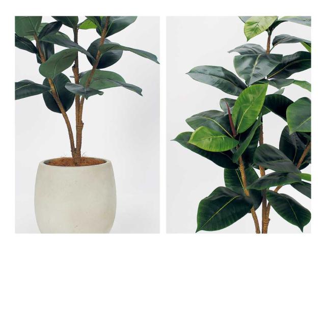 樹木プランター パーテーション フェイクグリーン 人工観葉植物 小丸鉢 600×1250×600 【正規代理店】 ベルク ゴムの木 間仕切り 人工樹木 造花 空間演出 オフィス クリニック エントランス ロビ 店舗 受付 インテリア 国産 屋内用 BELK GreenMode GR5101_2
