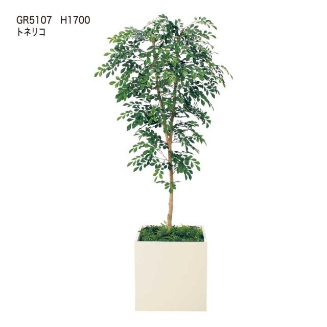 樹木プランター パーテーション フェイクグリーン 人工観葉植物 700×1700×700 【正規代理店】 ベルク 四角形 間仕切り トネリコ 人工樹木 造花 空間演出 オフィス クリニック エントランス ロビ 店舗 受付 インテリア 国産 屋内用 BELK GreenMode GR5107_1