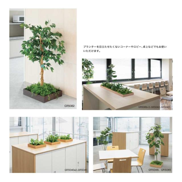 連接樹木 324×200×324 組み合わせプランター 薄型 木目 トレイ型プランター 単品 組み合わせ 使いやすい 【正規代理店】 ベルク おしゃれ 癒し フェイクグリーン 人工観葉植物 造花 装飾 インテリア BELK GreenMode グリーンモード 屋内用 国産 GR5040_3