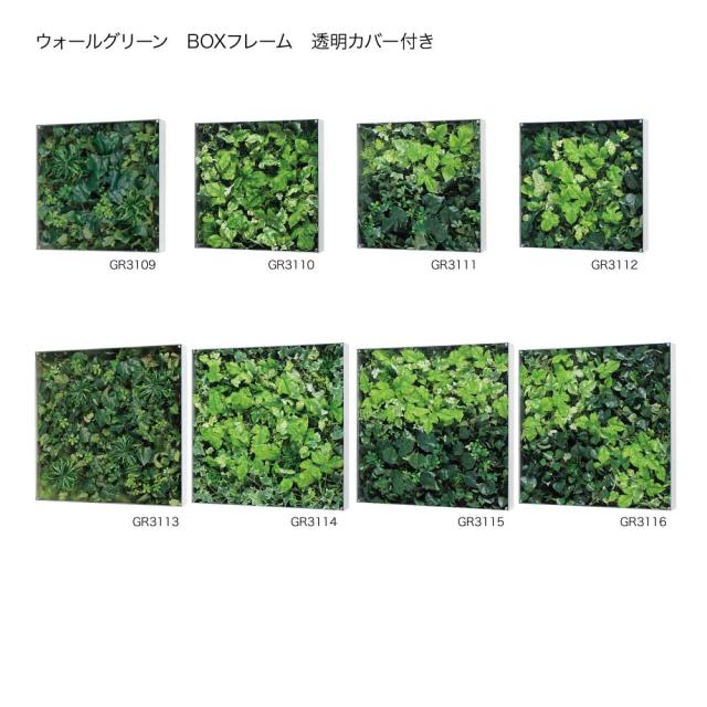 ウォールグリーン フェイクグリーン BOXフレーム 600×600×88 透明板 アクリル パネル フレーム 【正規代理店】 ベルク 額装 壁 直付け ひも掛け 人工観葉植物 造花 空間演出 オフィス クリニック ロビ 店舗 受付 商業施設 インテリア 国産 BELK GreenMode GR3116_4
