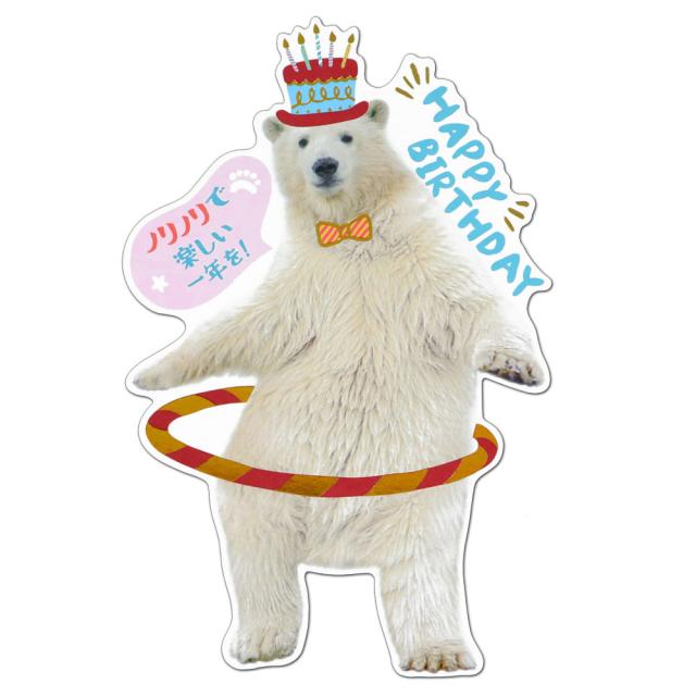バースデーカード アニマルフォトカード シロクマ 0 408 学研ステイフル グリーティングカード Birthday Card お誕生お祝いの通販はau Pay マーケット 芦屋の文房具店 あしや堀萬昭堂