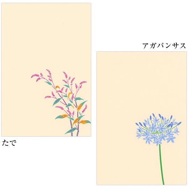 鳩居堂 秋のはがき 11枚セット（11柄） kyu-112 ぶどう 吾亦紅 ざくろ 虫かご オリーブ 撫子 サルビア たで アガパンサス くず  シルクスの通販はau PAY マーケット 芦屋の文房具店 あしや堀萬昭堂 au PAY マーケット－通販サイト