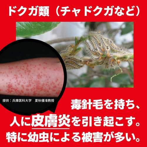 チャドクガ 駆除 防除剤 チャドクガ毒針毛固着剤 180ml 3本 毛虫 退治 飛散防止の通販はau Pay マーケット Mushiyoke ムシヨケ Au Pay マーケット店