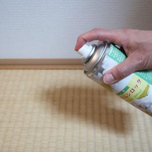 室内用殺虫剤 天然除虫菊ムシロック スプレー300ml 24本 チャタテムシ駆除の通販はau Pay マーケット Mushiyoke ムシヨケ Au Pay マーケット店
