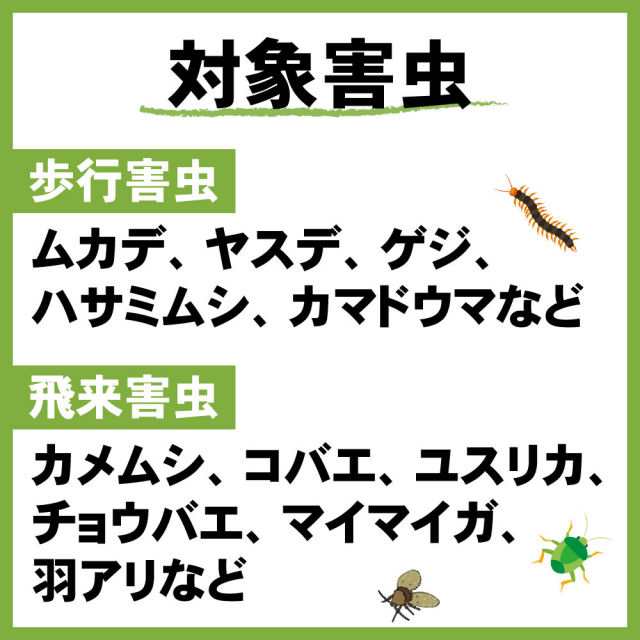 ムカデ ヤスデ ゲジ駆除 サイベーレ0.5SC 900ml 噴霧器セット アリ駆除