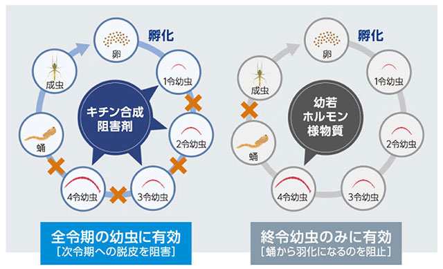 殺虫剤 チョウバエ ノミバエ コバエ 浄化槽 排水 駆除 対策 ミディ発泡錠 1％ 1錠×10包入 三井化学アグロ ネコポス送料無料の通販はau  PAY マーケット Mushiyoke (ムシヨケ) au PAY マーケット店 au PAY マーケット－通販サイト