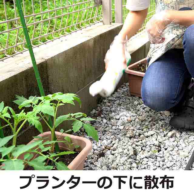 ムカデ毒餌剤 虫コロパーベイト 350g ヤスデ ゲジ ダンゴムシ ワラジムシ駆除の通販はau Pay マーケット Mushiyoke ムシヨケ Au Pay マーケット店