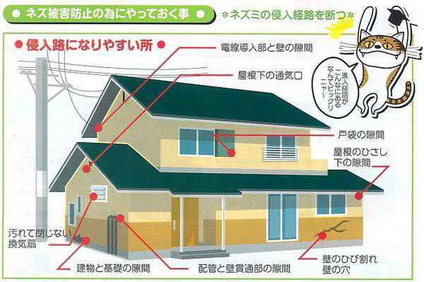 業務用 殺鼠剤 スーパーデスモア 500g 【防除用医薬部外品】【送料無料 ...