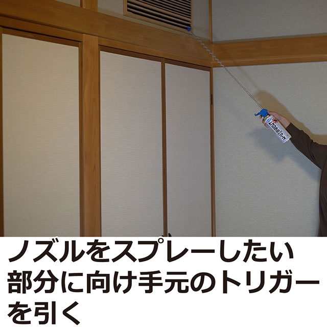 トコジラミ 南京虫 駆除 トコジラミ ゴキブリ アース 450ml 【第2類医薬品】 殺虫剤 ナンキンムシ対策スプレーの通販はau PAY マーケット  Mushiyoke (ムシヨケ) au PAY マーケット店 au PAY マーケット－通販サイト