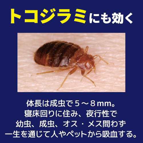 トコジラミ駆除 トコジラミ ゴキブリ アース 450ml アース製薬 第2類医薬品 薬 薬剤 奥深く 駆除