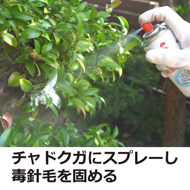 チャドクガ 駆除 防除剤 チャドクガ毒針毛固着剤 180ml 3本 毛虫 退治 飛散防止の通販はau Pay マーケット Mushiyoke ムシヨケ Au Pay マーケット店