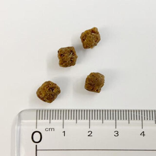 ブラックウッド パピー 20kg【犬想いオリジナルセット】【お散歩ハンディシャワー Ｓサイズ ライトピンク付】【正規品】_3