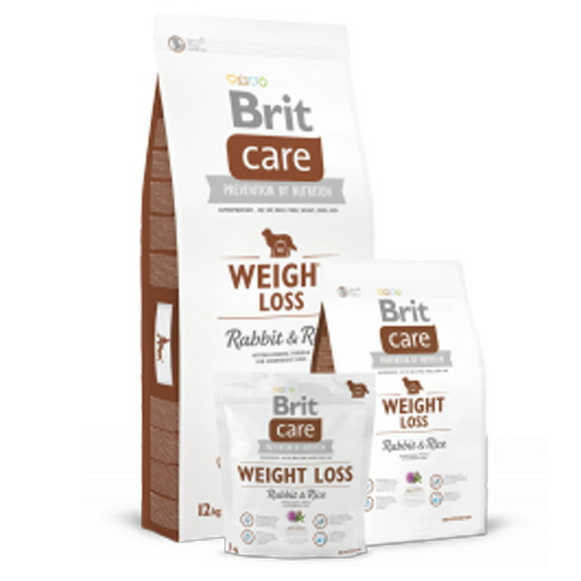 Brit 世話をする 掛け目天使の都市 12kg