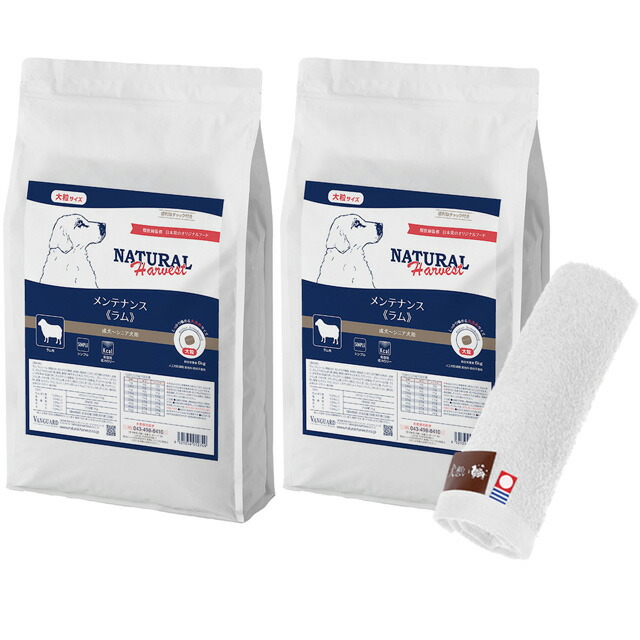 アウトレット品 50Hz H＆S カルシウムリアクター CA−0 内部