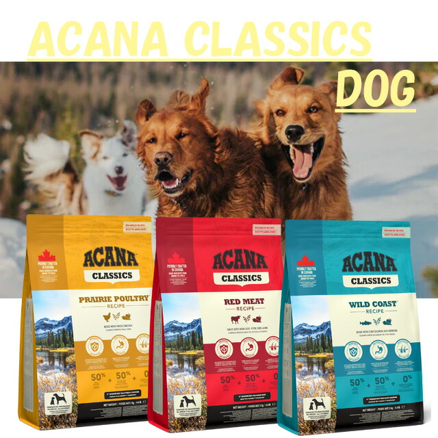 PSA10】東映版 アマダ トレーディングコレクション 赤星昇太郎