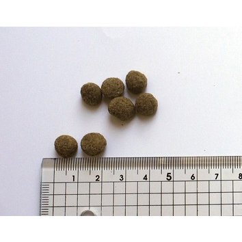 【2.7kgプレゼント付】ブラックウッド LOW FAT 20kg【正規品】_2