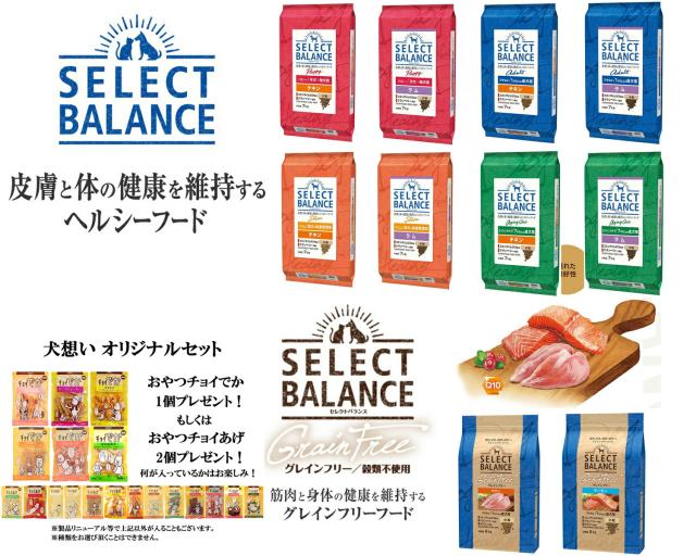 SELECT BALANCE サーモン グレインフリー 10kg セレクトバランス