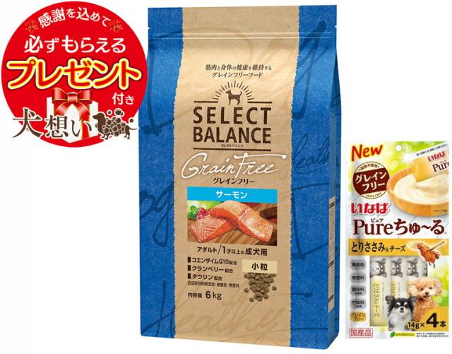 セレクトバランス グレインフリー アダルトサーモン 小粒 6kg