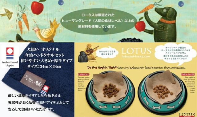 LOTUS ロータス グレインフリー フィッシュレシピ 小粒 2.27kg 【犬想いオリジナル今治ハンドタオルプレゼント】【タオルカラー ネイビー】_1