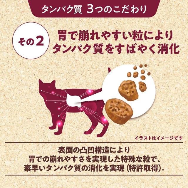 フィジカライフ (Physicalife) 室内猫シニア用 10歳頃〜 チキン入り 1.8kg 2個セット【犬想いオリジナル今治ハンドタオルセット】【タオルカラー ホワイト】【正規品】_4