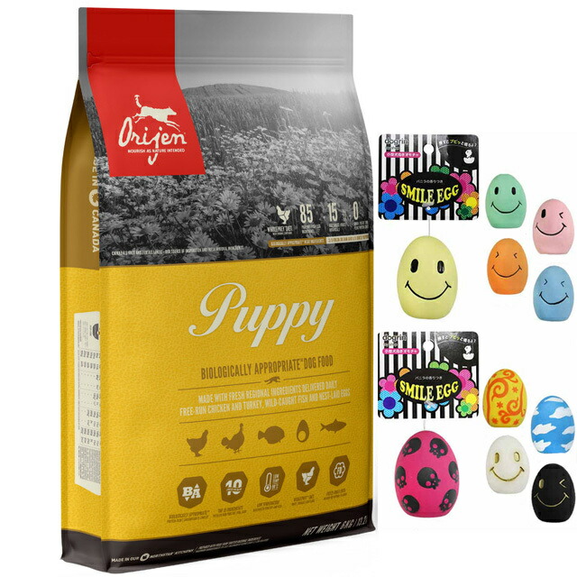 オリジン パピー 6kg  【スマイルエッグ付】【正規品】【送料無料】の通販は