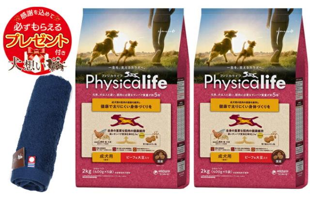 ウェルネス ヘルシーバランス4.5kg WELLNESS（ペット） ウェルネス ヘルシーバランス 成犬用 ラム