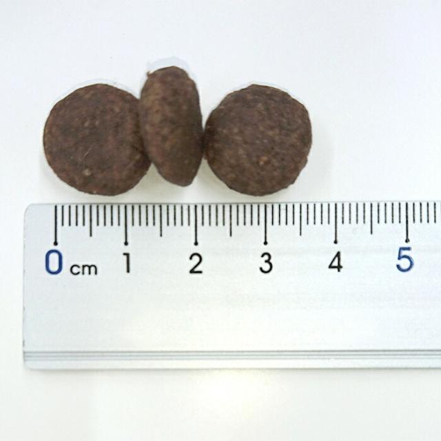 エンパイア 【EMPIRE】 パピーグロース25＋ 12kg【犬想いオリジナル今治ハンドタオルプレゼント】【タオルカラー ネイビー】