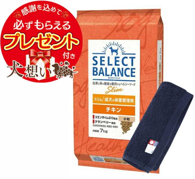 セレクトバランス スリム チキン 小粒 成犬の体重管理用 7kg【犬想いオリジナル今治ハンドタオルセット】【タオルカラー ネイビー】【正規品】