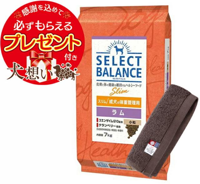 ◇セレクトバランス スリム ラム ◇小粒 成犬の体重管理用15kg SELECT