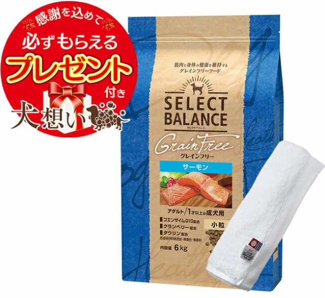 【あす着便利用可能】【送料無料】セレクトバランス グレインフリー アダルトサーモン 小粒 6kg【犬想いオリジナル今治ハンドタオルセッ