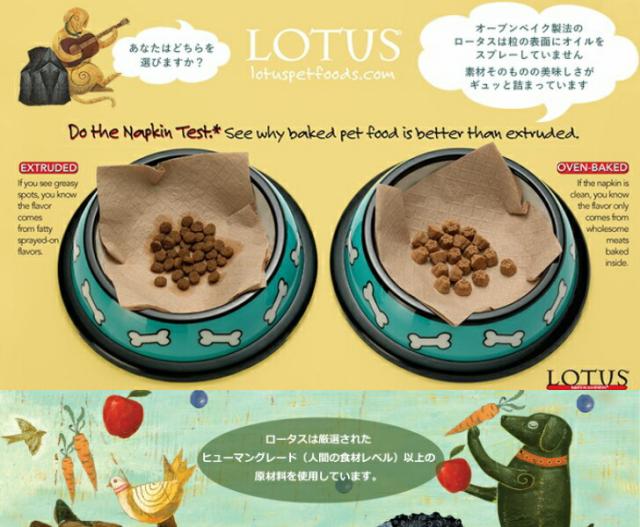 芙蓉 グレインフリー フィッシュレシピ 素粒子 5kg