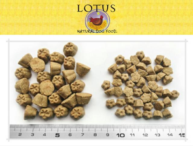 芙蓉 グレインフリー フィッシュレシピ 素粒子 5kg