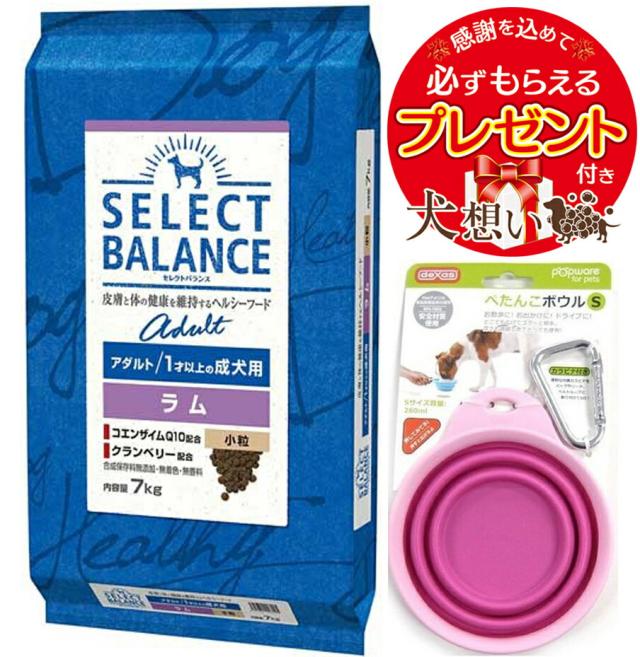 セレクトバランス アダルト ラム 小粒 １才以上の成犬用 7kg