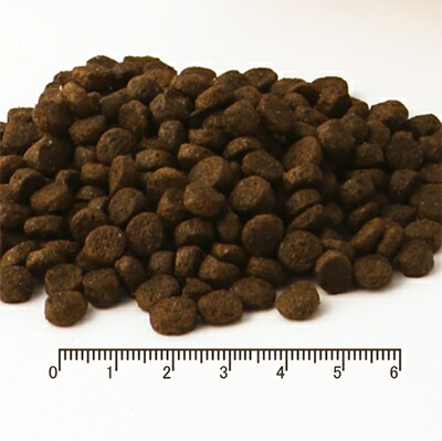 フィッシュ4 ドッグ スーペリア ウェイトコントロール 12kg（6kg×2）【正規品】【犬想いオリジナルセット】 【ぺたんこボウル ブルー付】_3